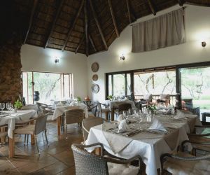 Big 5 Game reserve in Gauteng - restaurant interrior