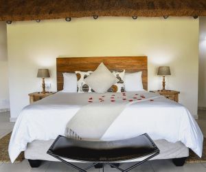 Big 5 Game reserve in Gauteng - Gallery, Villas, bedroom