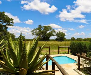 Big 5 Game reserve in Gauteng - Gallery, Villas, swimming pool