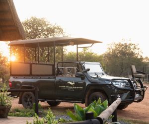 Dinokeng Game Reserve Drives